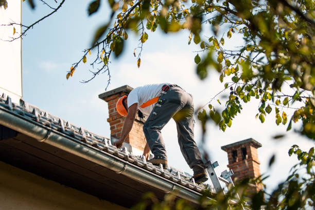Best Storm Damage Roof Repair  in Russellville, AR