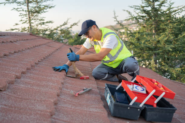 Best Residential Roofing Contractor  in Russellville, AR